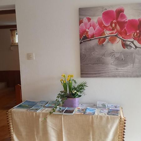 Haus Sonnenhang +Seeblick+Pool Райфниц Екстериор снимка