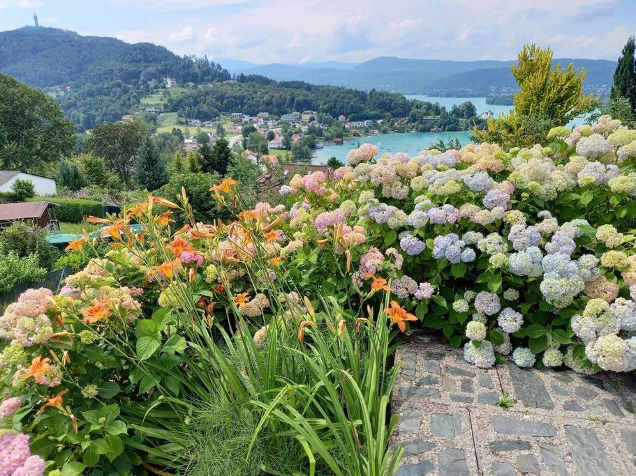 Haus Sonnenhang +Seeblick+Pool Райфниц Екстериор снимка