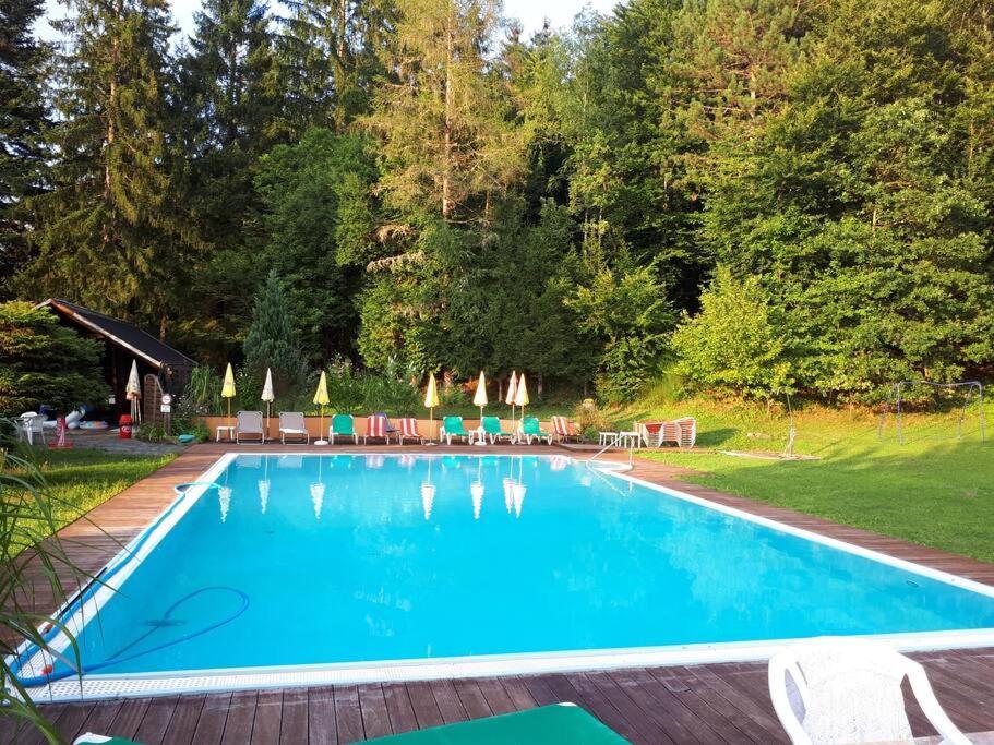 Haus Sonnenhang +Seeblick+Pool Райфниц Екстериор снимка