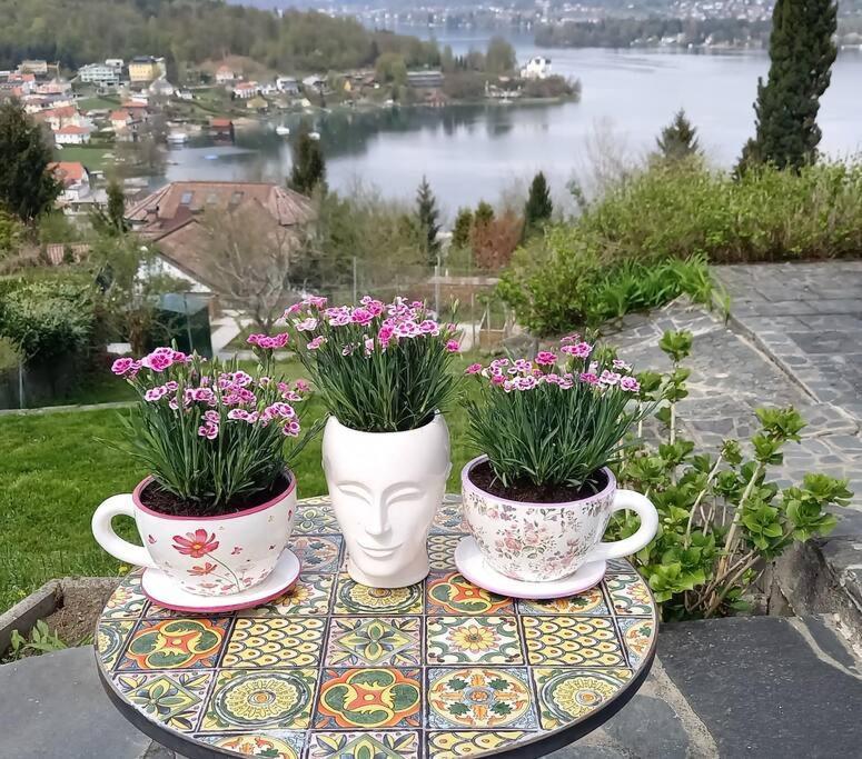 Haus Sonnenhang +Seeblick+Pool Райфниц Екстериор снимка