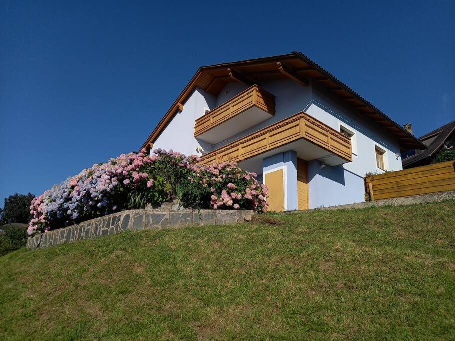 Haus Sonnenhang +Seeblick+Pool Райфниц Екстериор снимка