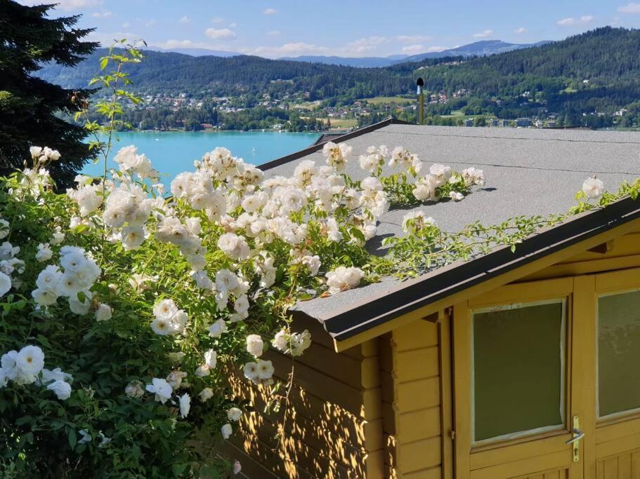 Haus Sonnenhang +Seeblick+Pool Райфниц Екстериор снимка