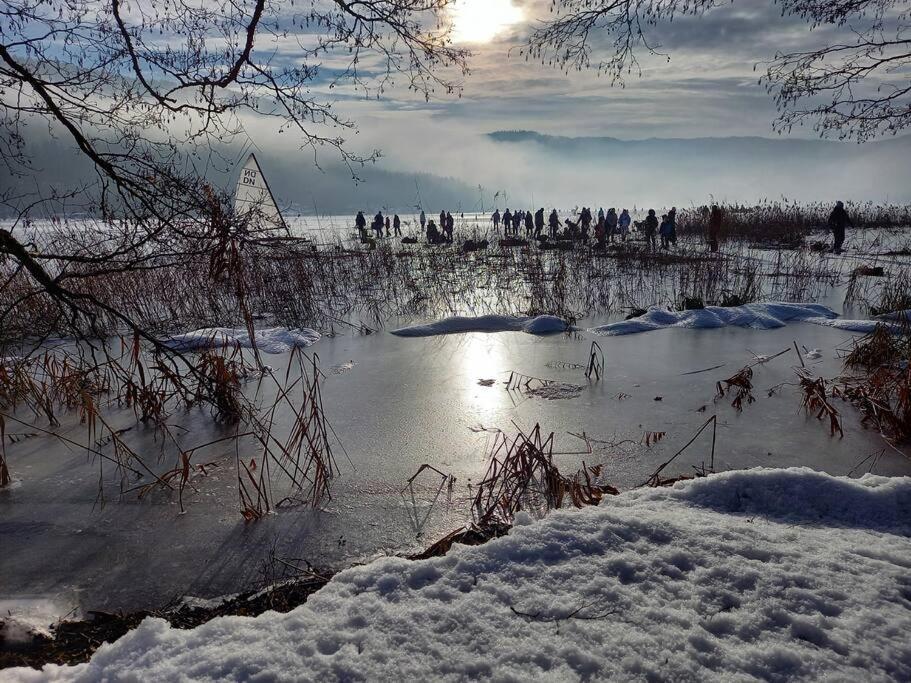 Haus Sonnenhang +Seeblick+Pool Райфниц Екстериор снимка