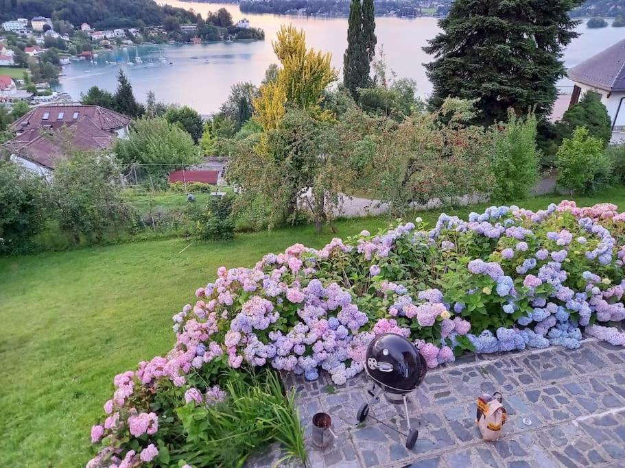 Haus Sonnenhang +Seeblick+Pool Райфниц Екстериор снимка